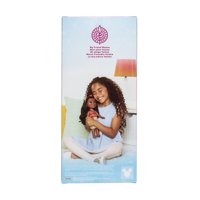 Core Large Doll Assortment - F26