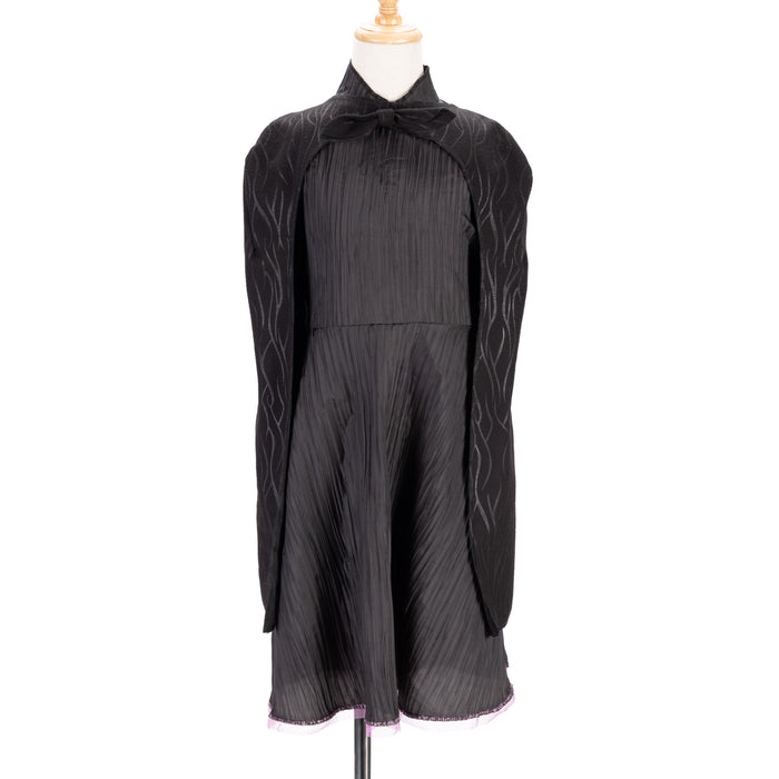 Deluxe Elphaba Black Dress & Accessories — Jakks Wholesale